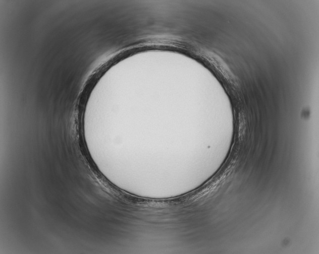 X0000116861164201001121235