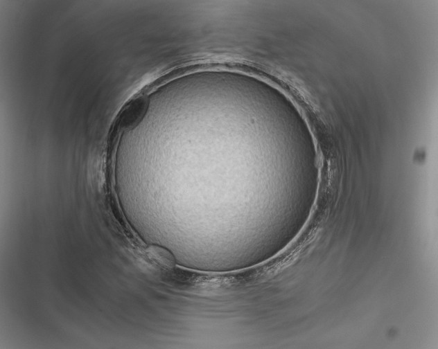 X0000116861165201001121235