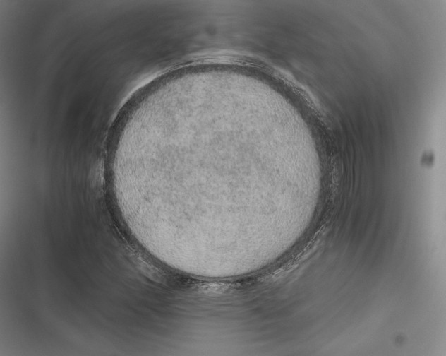 X0000116861166201001121235