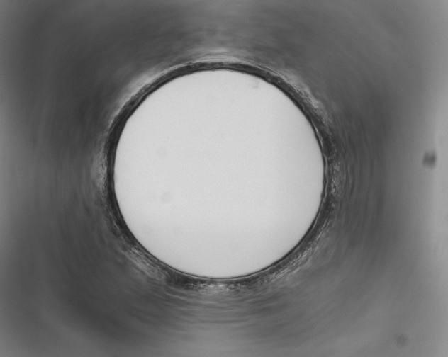 X0000116861167201001121234