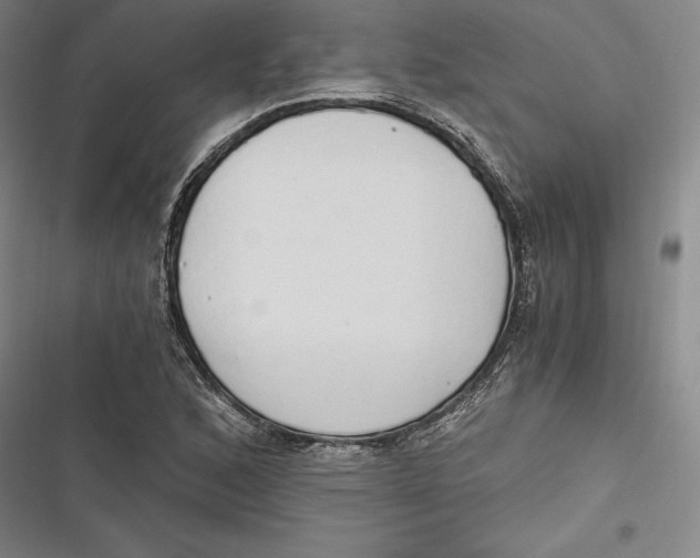 X0000116861168201001121234