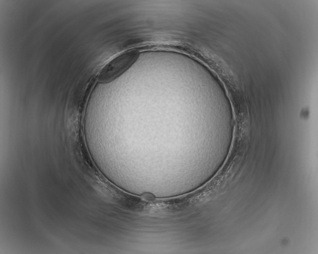 X0000116861169201001121234