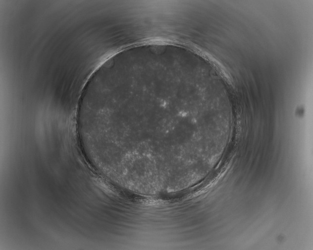 X0000116861170201001121234