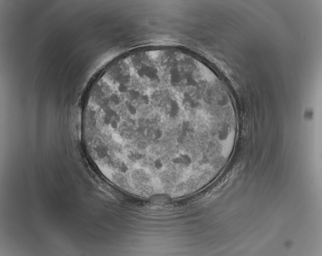 X0000116861171201001121234