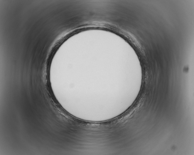 X0000116861172201001121234