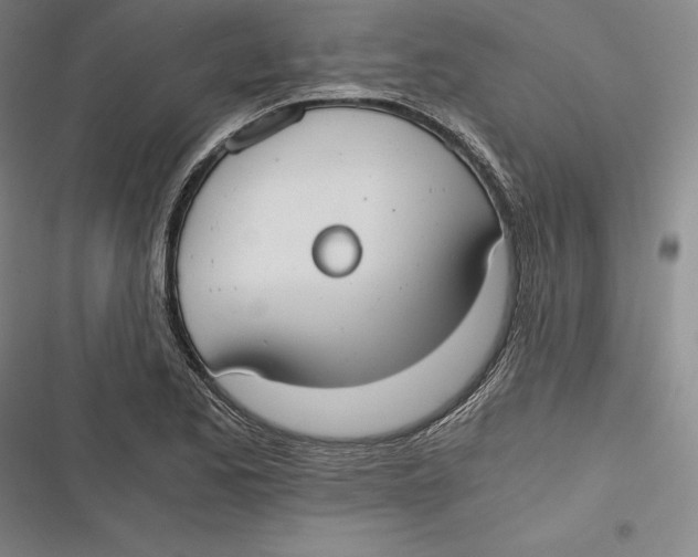 X0000116861173201001121234