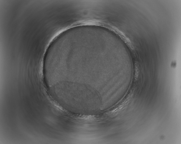 X0000116861174201001121234