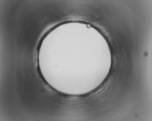 X0000116861175201001121234