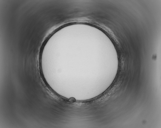 X0000116861176201001121234