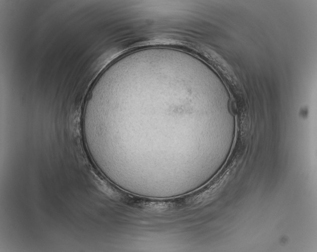 X0000116861177201001121234