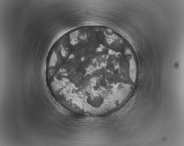 X0000116861179201001121234