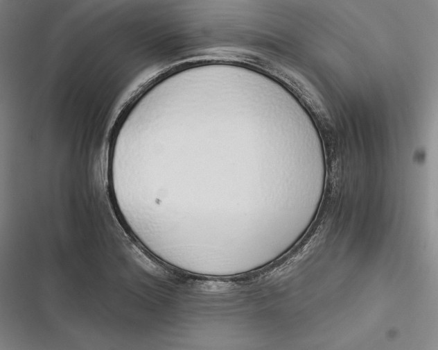 X0000116861180201001121234