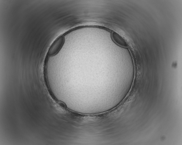 X0000116861181201001121234