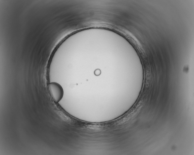 X0000116861182201001121234