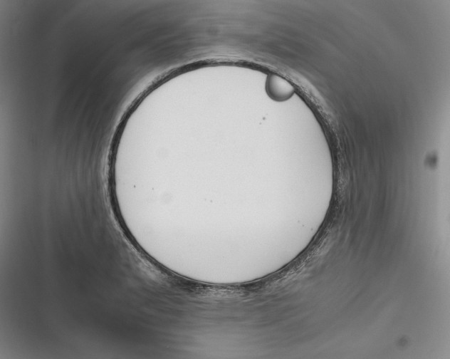 X0000116861183201001121234