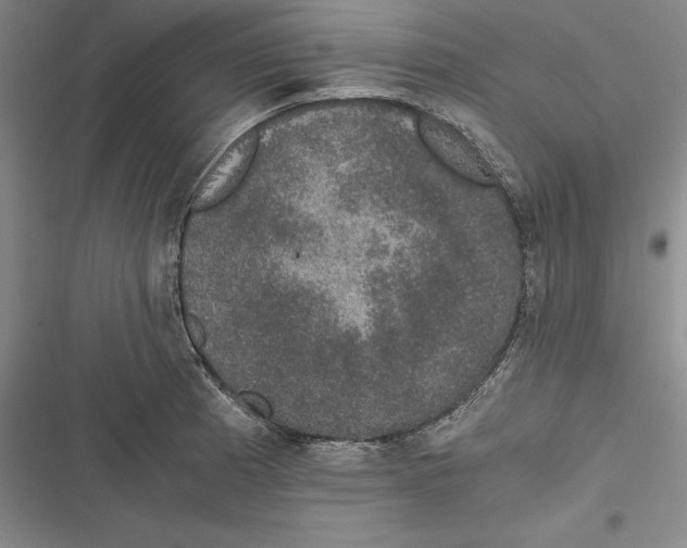 X0000116861185201001121234