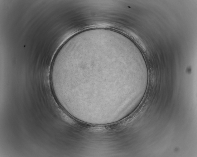 X0000116861186201001121234