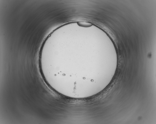 X0000116861187201001121234