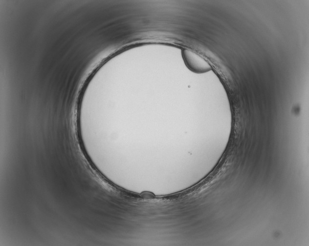 X0000116861188201001121234