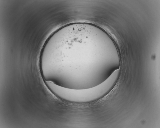 X0000116861189201001121234