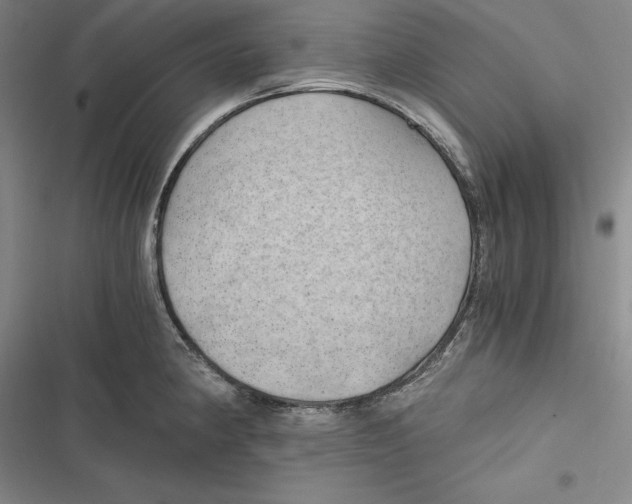 X0000116861190201001121234