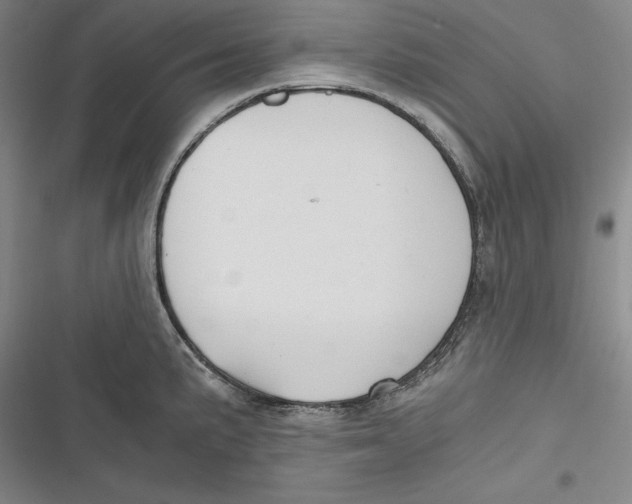 X0000116861191201001121234