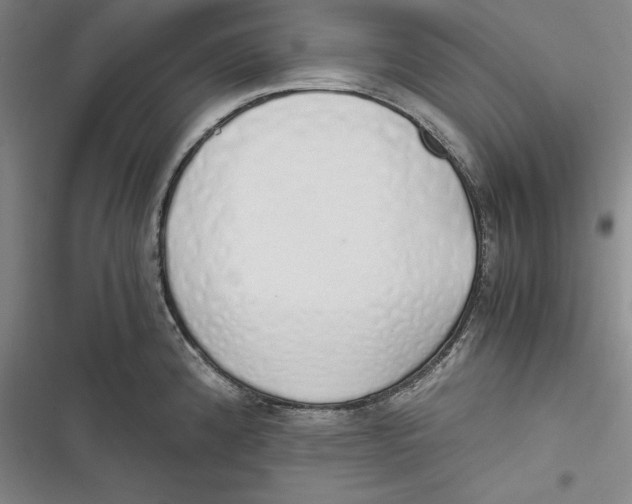 X0000116861192201001121234