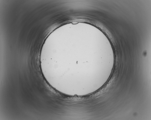 X0000116861193201001121234