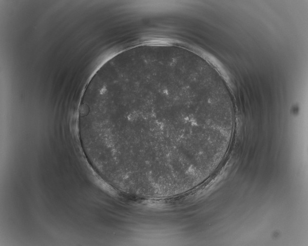 X0000116861194201001121234