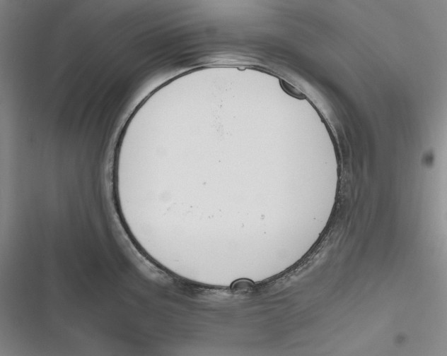 X0000116861195201001121234