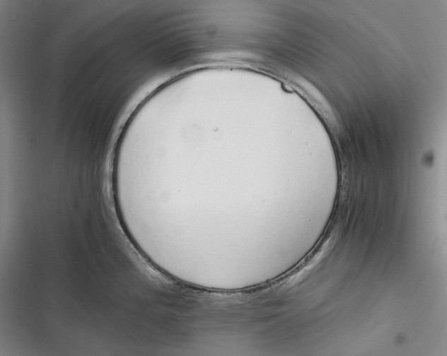 X0000116861196201001121234