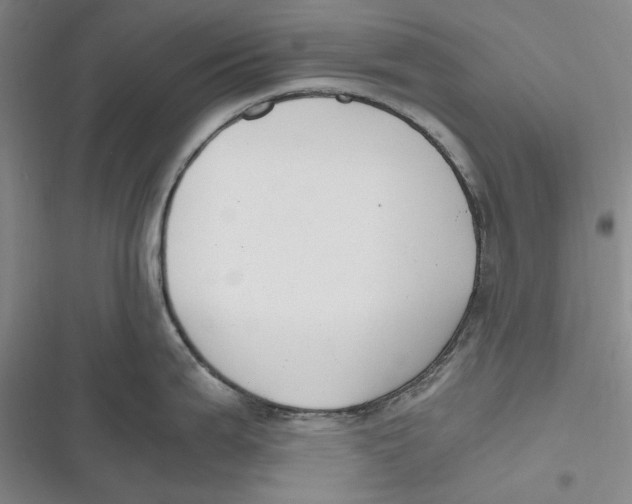 X0000116861199201001121234