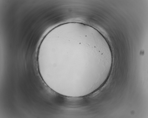 X0000116861200201001121234