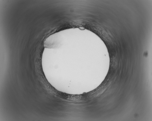 X0000116861201201001121233