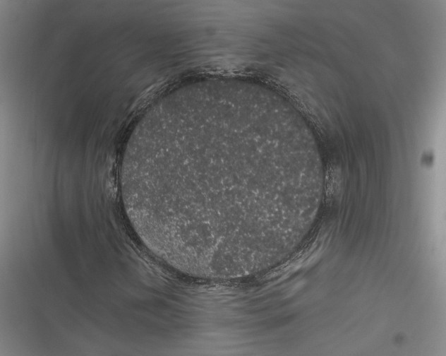 X0000116861202201001121233