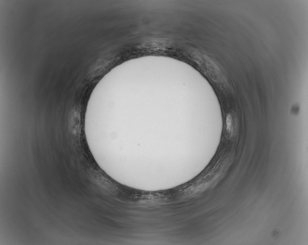 X0000116861203201001121233