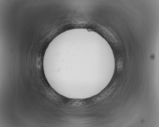 X0000116861204201001121233