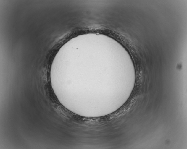 X0000116861205201001121233