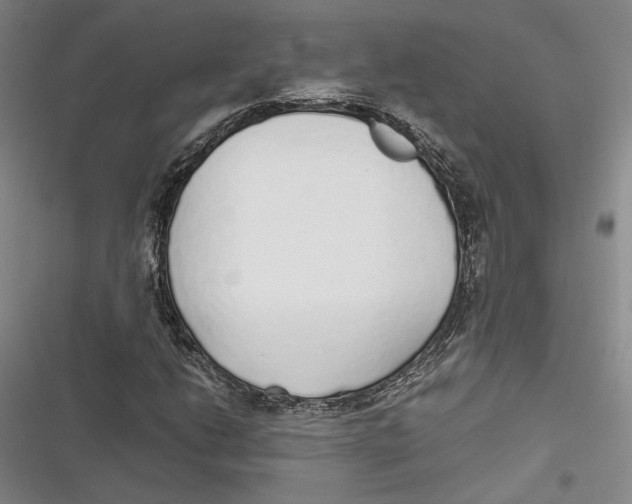 X0000116861206201001121233