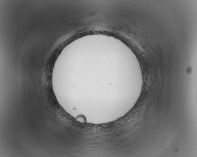 X0000116861207201001121233