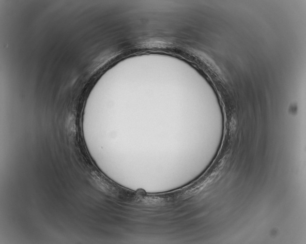 X0000116861209201001121233