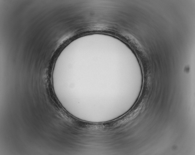 X0000116861210201001121234