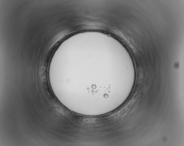 X0000116861211201001121234