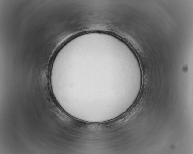 X0000116861212201001121234