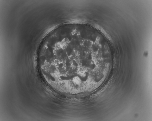 X0000116861213201001121234