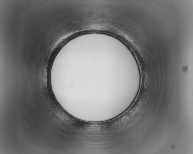 X0000116861214201001121234