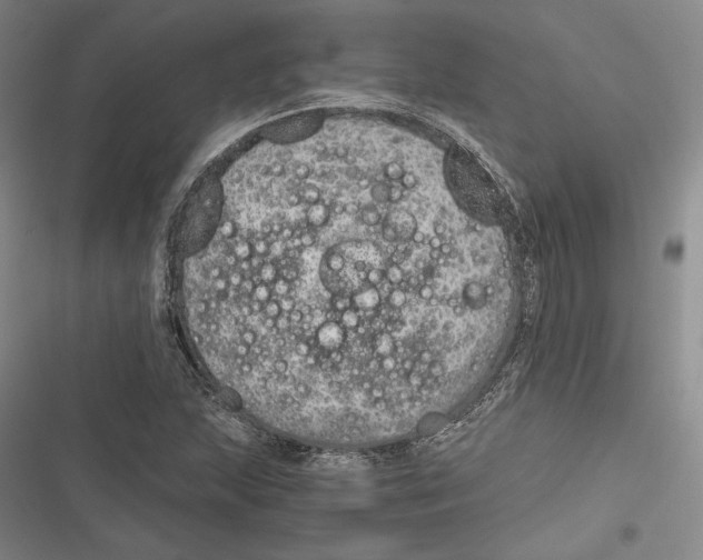 X0000116861215201001121234