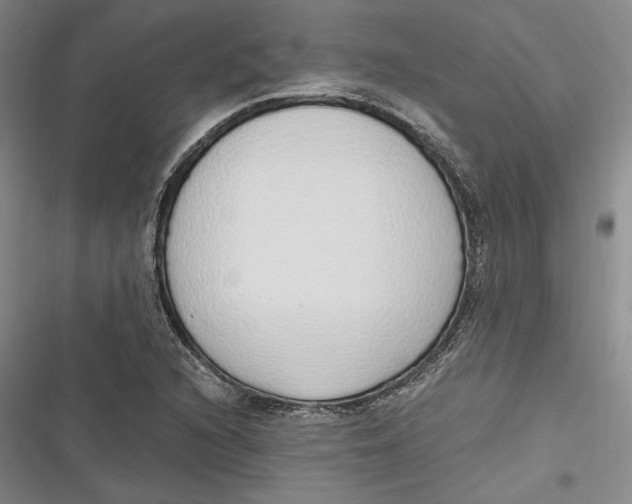 X0000116861216201001121234