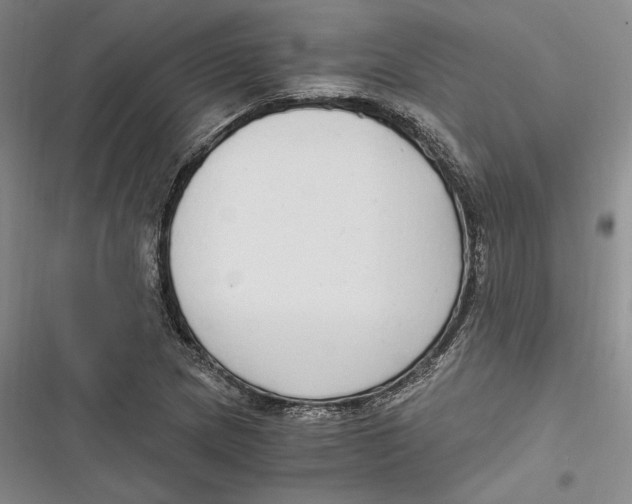 X0000116861217201001121234