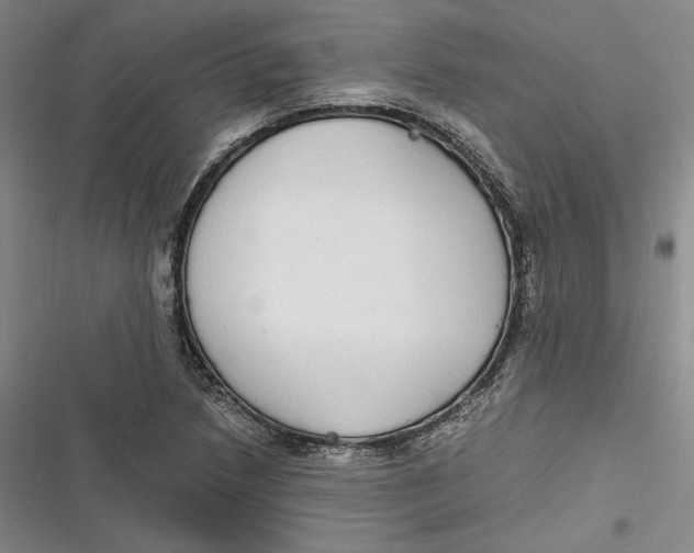 X0000116861218201001121234